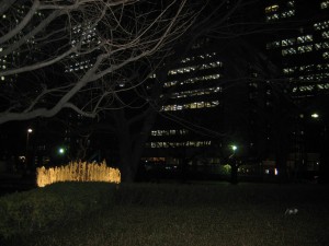 IMG_3742